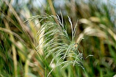 拉乎尔大师有礼相赠！《命运2》异域礼包助你畅游深空