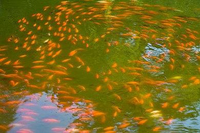 Epic游戏商城大促活动下周免费赠送游戏或已提前泄露